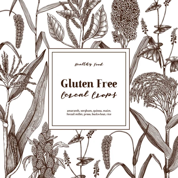 Vektor Nahtlose Muster Mit Handgezeichneten Getreidepflanzen Skizzen Jahrgang Hintergrund Mit — Stockvektor