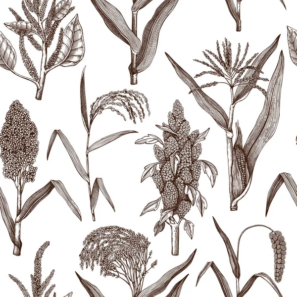 Varrat nélküli mintát növények vázlatok — Stock Vector