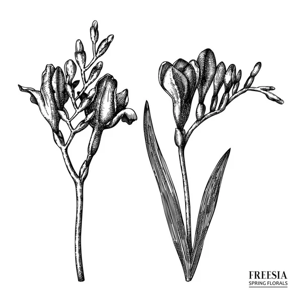 Fleurs de printemps dessinées à la main — Image vectorielle