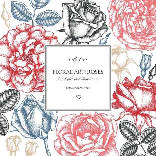 贺卡与手绘玫瑰在白色背景 — 图库矢量图片