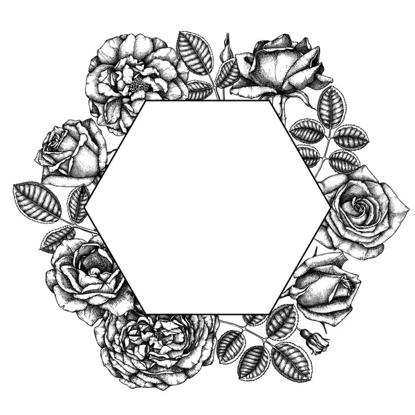 Tarjeta Vectorial Con Rosas Dibujadas Mano Sobre Fondo Blanco — Archivo Imágenes Vectoriales