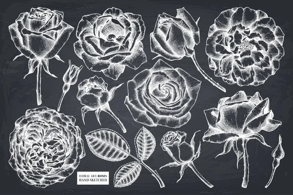 Rosas dibujadas a mano negras — Vector de stock