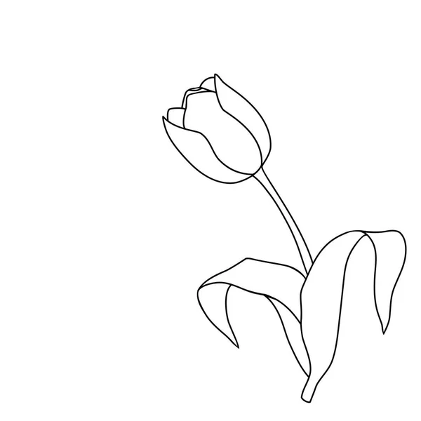 Patrón de tulipán de vector inconsútil — Vector de stock