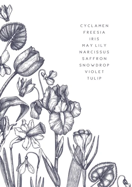 Flores primavera dibujadas a mano — Archivo Imágenes Vectoriales