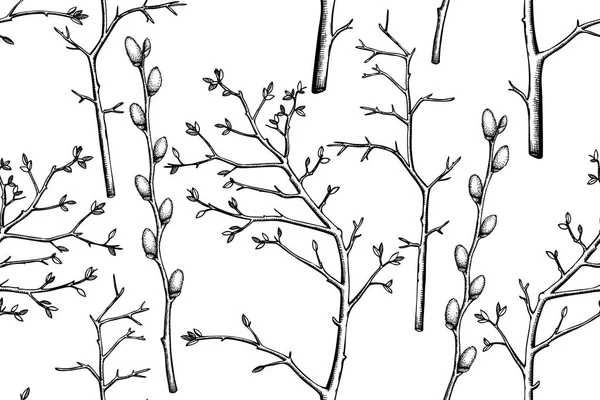 Bezešvé vzor s willow tree větvičky — Stockový vektor