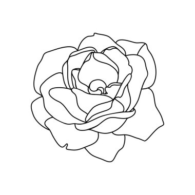 el çizilmiş çiçek arka plan vektör illüstrasyon