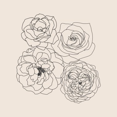 el çizilmiş çiçek arka plan vektör illüstrasyon