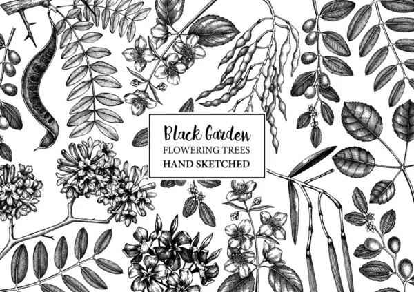 Vektor Illustration Handritade Trädgårdsväxter Bakgrund — Stock vektor