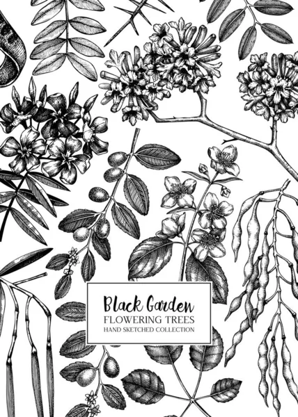Vector Illustratie Van Hand Getekende Tuinplanten Achtergrond — Stockvector