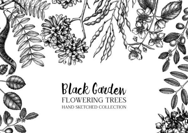 Vector Illustratie Van Hand Getekende Tuinplanten Achtergrond — Stockvector
