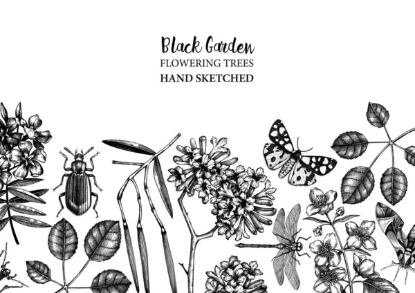 Vector Illustratie Van Hand Getekende Tuinplanten Achtergrond — Stockvector