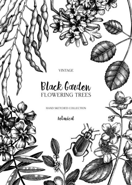 Vector Illustratie Van Hand Getekende Tuinplanten Achtergrond — Stockvector