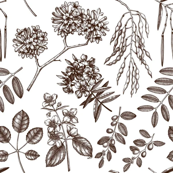 Ilustração Vetorial Plantas Jardim Desenhadas Mão Fundo —  Vetores de Stock