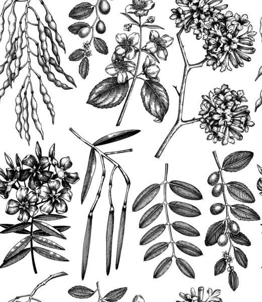 Illustration Vectorielle Des Plantes Jardin Dessinées Main Fond — Image vectorielle