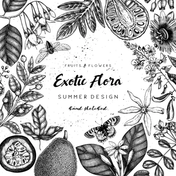 Vektor Illustration Handritade Exotiska Växter Bakgrund — Stock vektor