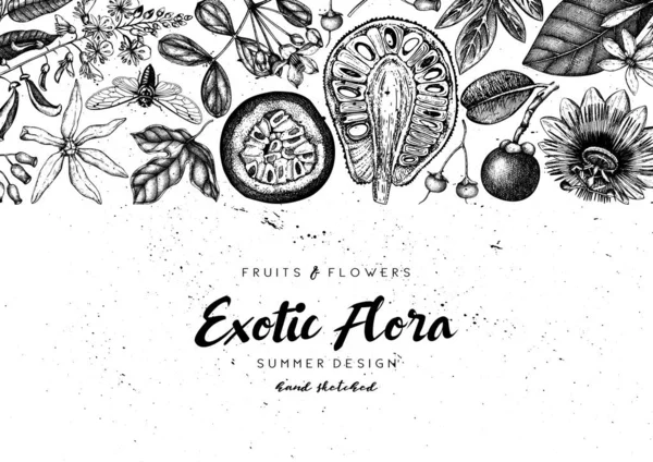 Vektor Illustration Der Von Hand Gezeichneten Exotischen Pflanzen Hintergrund — Stockvektor