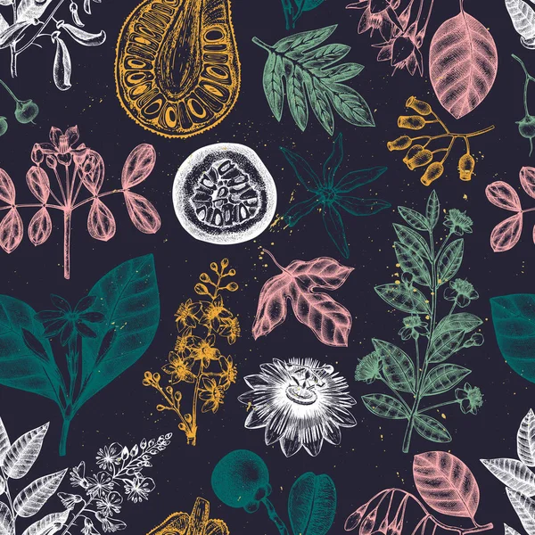手描きのエキゾチックな植物の背景のベクトルイラスト — ストックベクタ