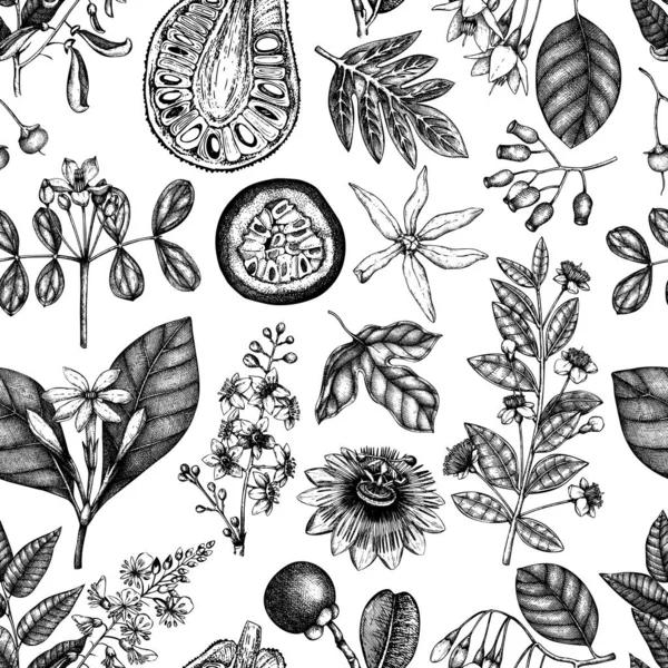 Illustration Vectorielle Plantes Exotiques Dessinées Main Fond — Image vectorielle