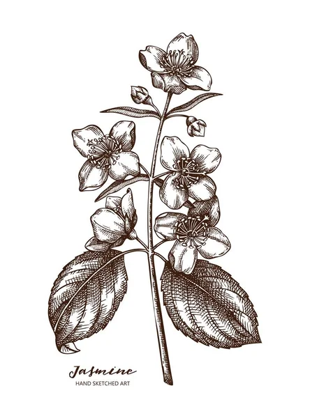 Векторна Ілюстрація Квіткового Фону Намальованого Вручну — стоковий вектор