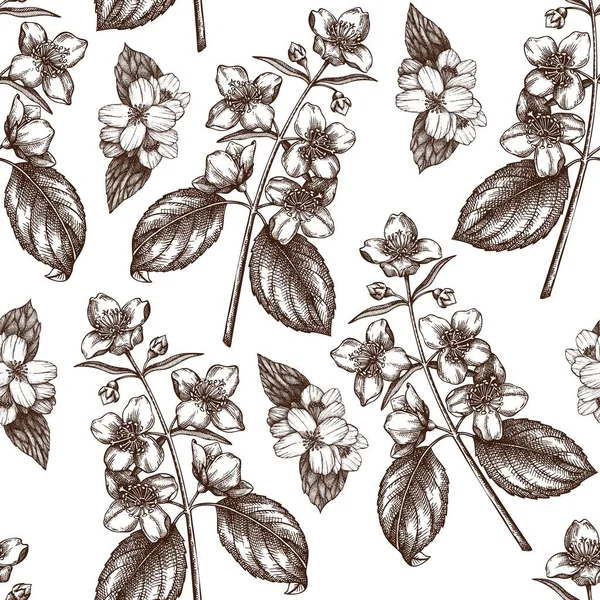 Vektor Illustration Von Hand Gezeichnet Floralen Hintergrund — Stockvektor