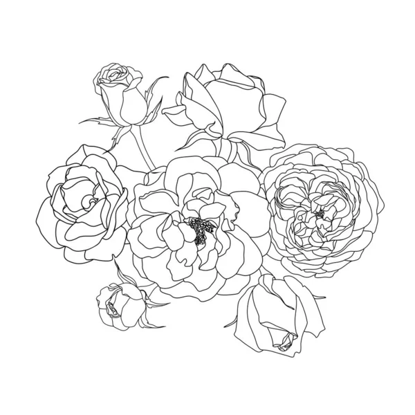 Vektor Illustration Von Hand Gezeichnet Floralen Hintergrund — Stockvektor