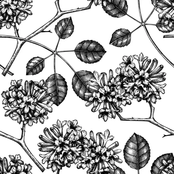 Illustration Vectorielle Fond Floral Dessiné Main — Image vectorielle