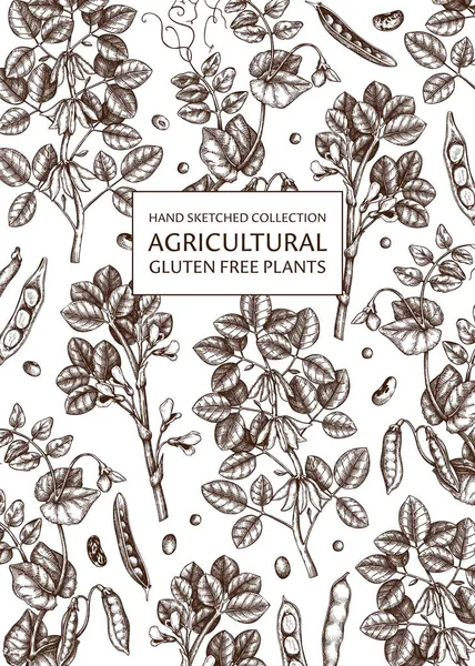 Векторна Ілюстрація Намальованого Рукою Фону Рослин Бобові — стоковий вектор