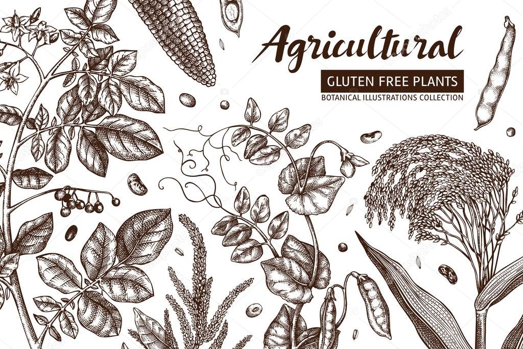 vector illustration of gluten-free food background
