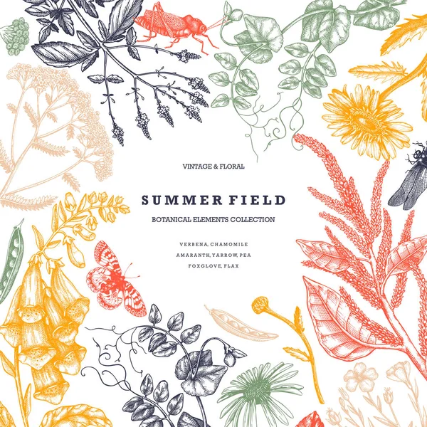 夏の野生の花のデザイン 花のカードや招待状 手描きのハーブ 牧草地 昆虫の図面とヴィンテージの花 彫刻されたスタイルの植物要素 ベクトルアウトライン — ストックベクタ