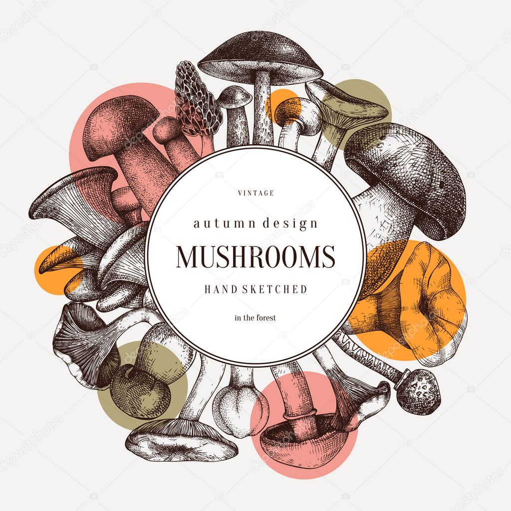 Edible mushrooms vector wreath.  Forest plants background. Perfe