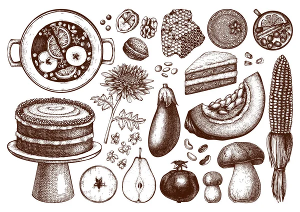 Tradicional Outono comida e bebidas ilustrações conjunto . —  Vetores de Stock