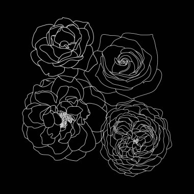 Trendy çiçek tasarımı. Siyah arka plan üzerinde beyaz güller.