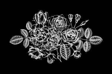 Trendy çiçek tasarımı. Siyah arka plan üzerinde beyaz güller. 