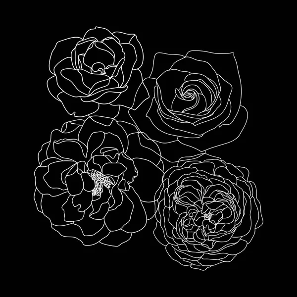 Trendy bloemdessin. Witte rozen op zwarte achtergrond. — Stockvector