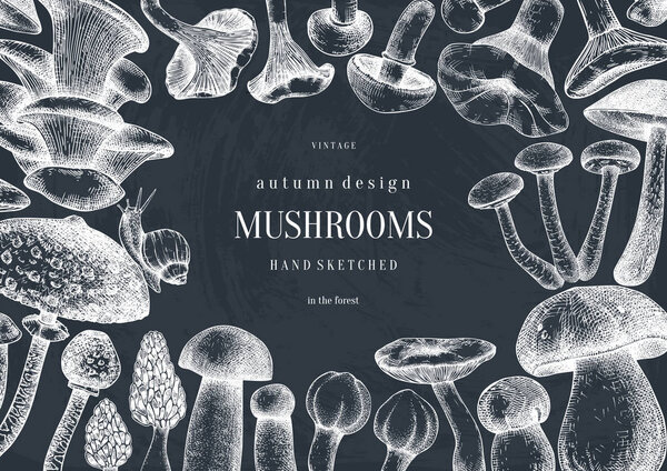 Vintage frame design with culinary mushrooms sketches. Forest pl