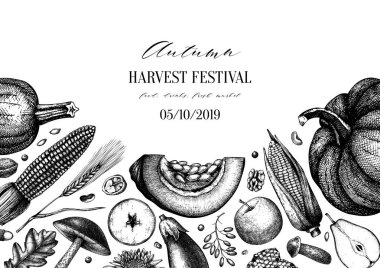 Sonbahar hasat festivali vektör tasarımı. Geleneksel şükran günü 