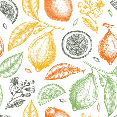Vintage Ink hand drawn citrus fruits branch. Vector illustration of highly detailed lemons tree with leaves, fruits and flowers sketches. Perfect for packing, greeting cards, invitations, prints etc  clipart