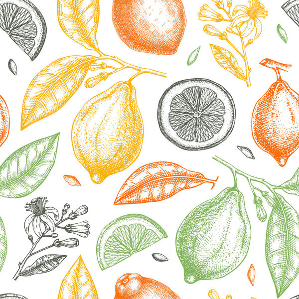Vintage Ink hand drawn citrus fruits branch. Vector illustration of highly detailed lemons tree with leaves, fruits and flowers sketches. Perfect for packing, greeting cards, invitations, prints etc 