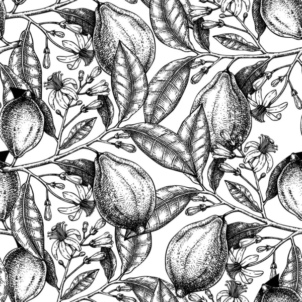Inchiostro disegnato a mano agrumi sfondo. vettoriale limoni senza soluzione di continuità pa — Vettoriale Stock