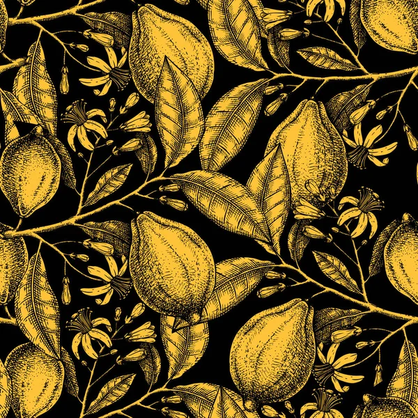 Inchiostro disegnato a mano agrumi sfondo. Lamina d'oro limoni senza soluzione di continuità — Vettoriale Stock