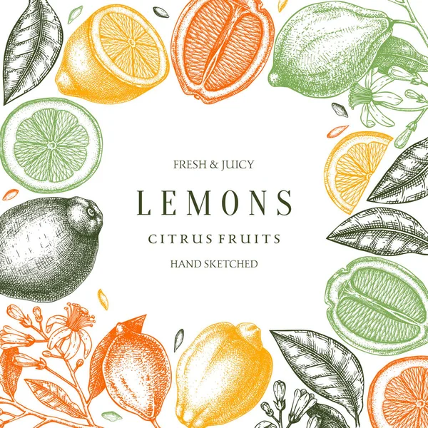 Ink hand drawn citrus fruits frame design. Vector lemons backgro — ストックベクタ