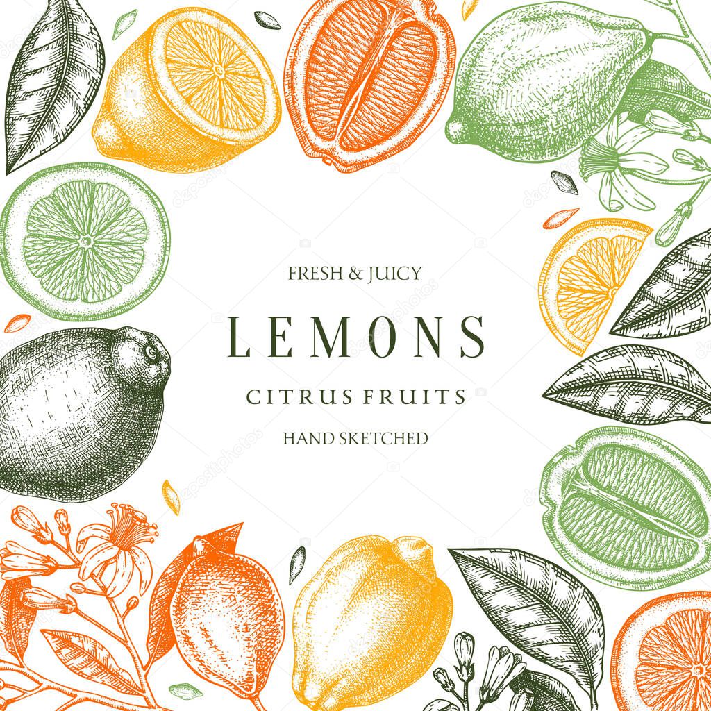 Ink hand drawn citrus fruits frame design. Vector lemons backgro