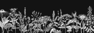 Elle çizilmiş şifalı otlar yazı tahtasına pankart dizaynı. Vektör çiçekleri, yabani otlar ve çayır çizimleri. Klasik yaz bitkileri şablonu. Kabartma biçiminde çiçek elementleri içeren botanik arka plan. 