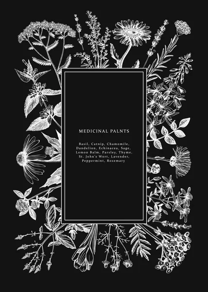 Tarjeta Hierbas Medicinales Vintage Diseño Invitación Pizarra Flores Dibujadas Mano — Vector de stock