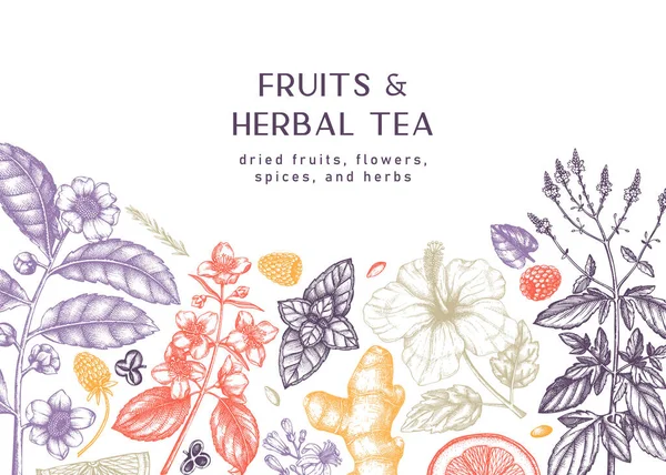Kézzel Rajzolt Gyógynövény Tea Összetevők Banner Vintage Gyógynövények Gyümölcsös Vázlatok — Stock Vector