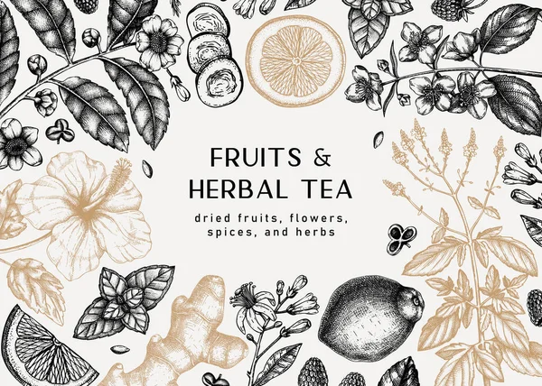 Herbal Tea Ingredients Banner Summer Drinks Recipe Template Hand Sketched — Stock Vector