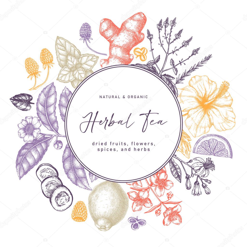 Hand sketched herbal tea ingredients vector wreath.  Summer drinks vintage design. Perfect for recipe, menu, label, icon, packaging, Vintage herbs and fruits outlines. Botanical background