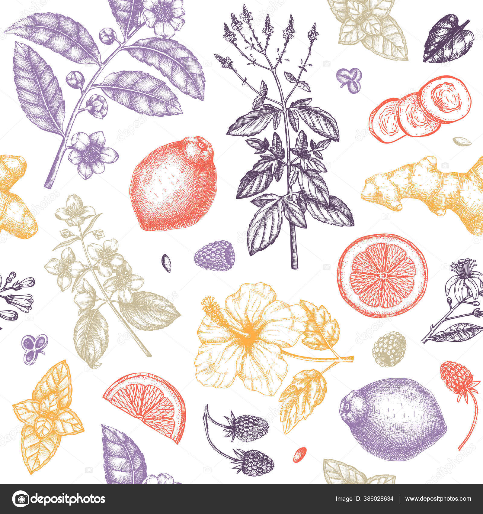 Pola Teh Herbal Mulus Tangan Sketsa Buah Buahan Herbal Bunga