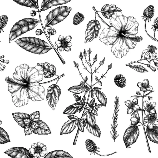 Bylinkový Čaj Hladký Vzor Ručně Kreslené Ovoce Bylinky Květiny Bobule — Stockový vektor