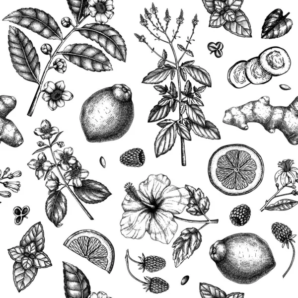 Thé Base Plantes Motif Sans Couture Fruits Croquis Main Herbes — Image vectorielle